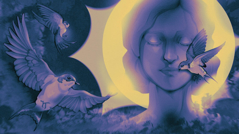 Sparrows: view full project